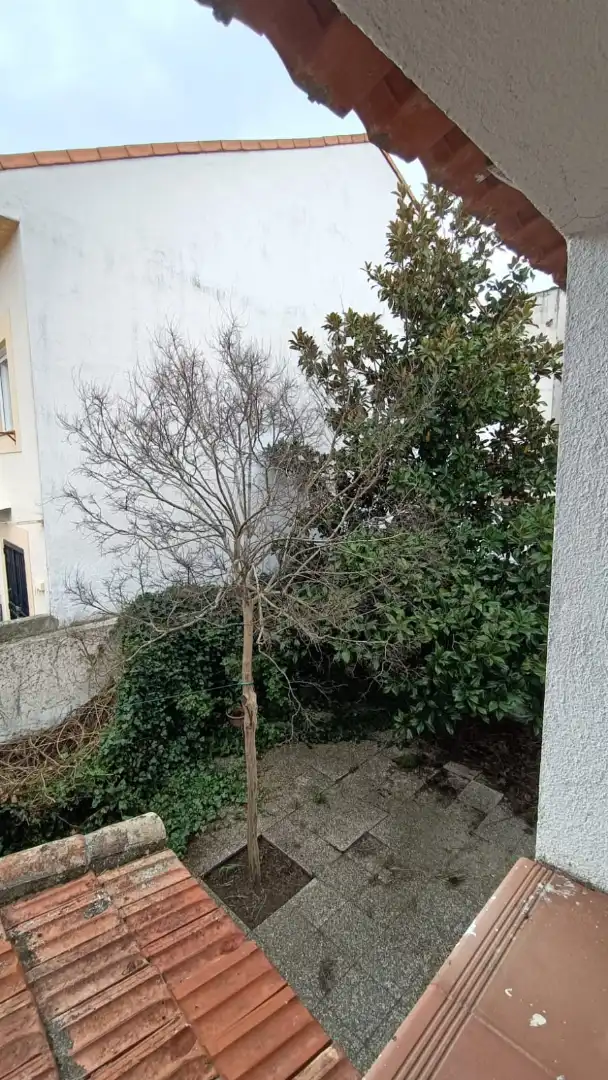 Jardín de Casa adosada en venta en Talamanca de Jarama con Calefacción, Jardín privado y Internet
