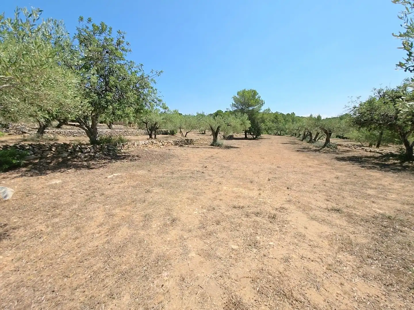 Country house zum Verkauf in L'Ametlla de Mar  mit Privatgarten, Terrasse und Schwimmbad