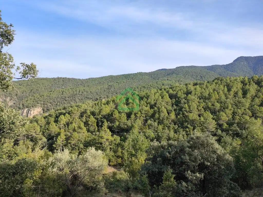 Finca rústica en venda a Carretera Isona, Coll de Nargó