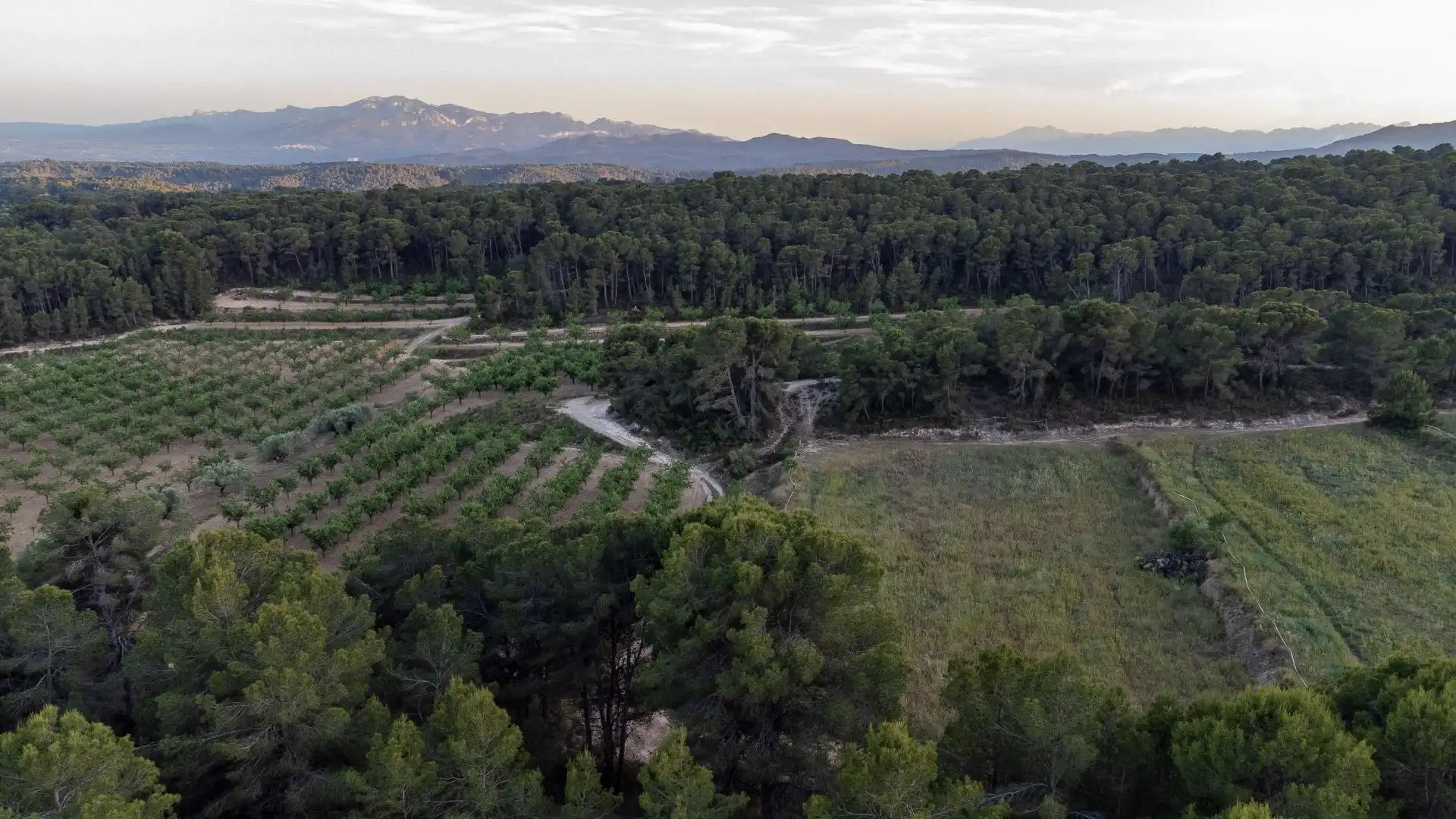 Finca rústica en venda en Móra d'Ebre