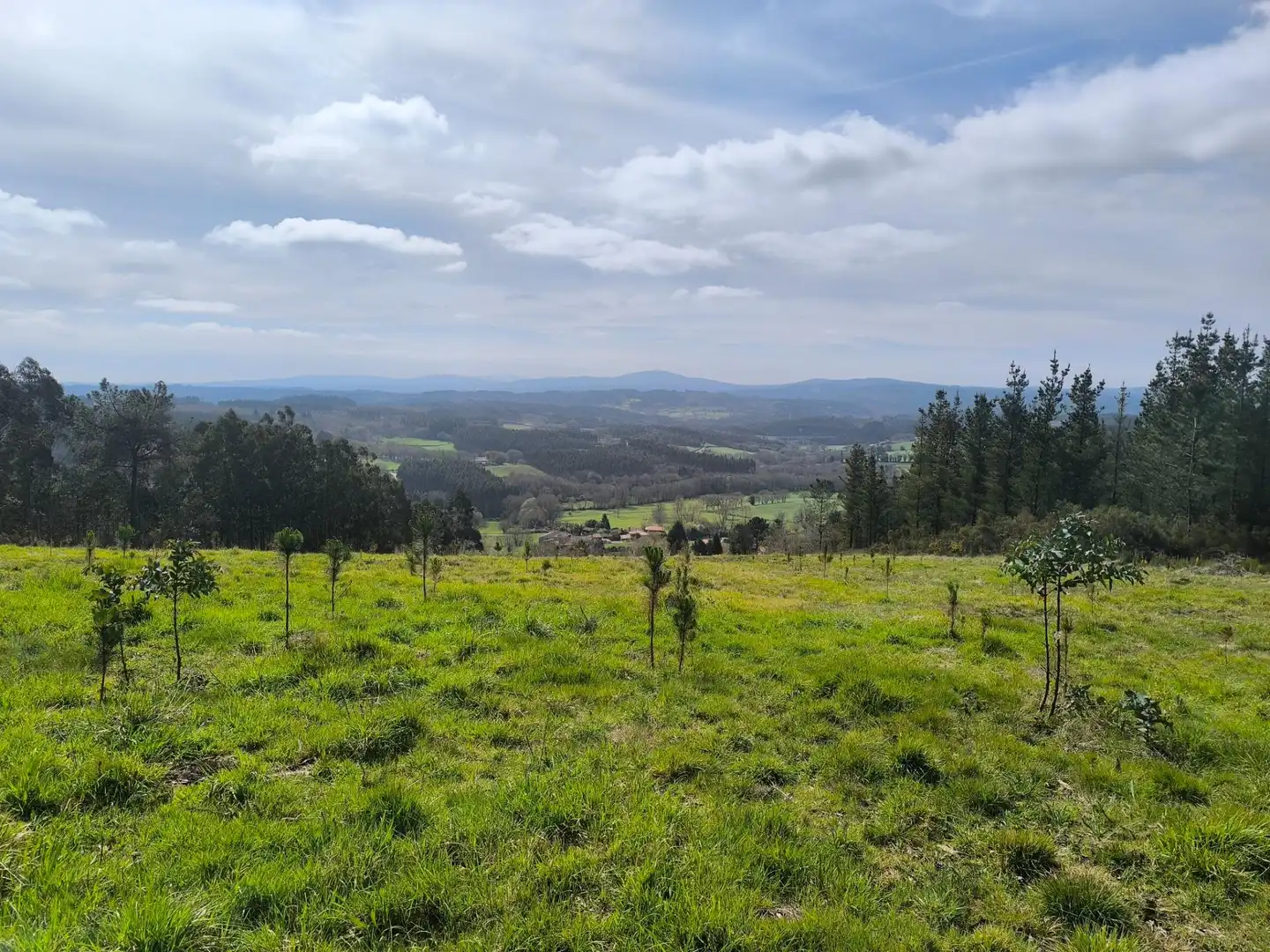 Casa o xalet en venda en Palas de Rei amb Jardí privat