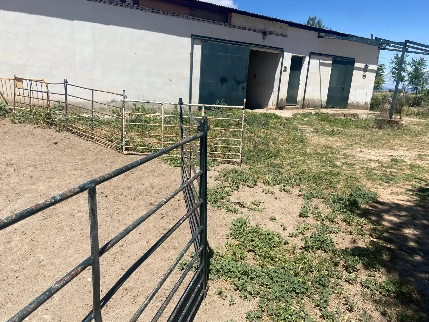 Terreny residencial en venda a Camino Camino de Torralba de Calatrava, imagen 18