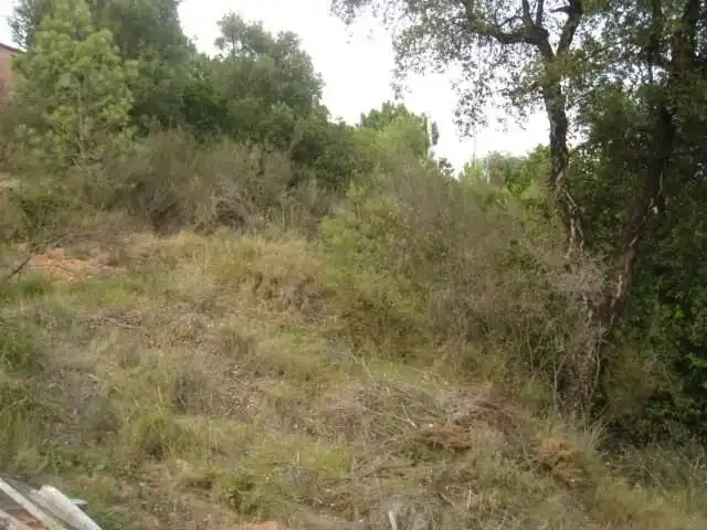Terrenos y solares en venta en Riudarenes