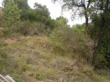 Terreni e lotti in vendita a Riudarenes