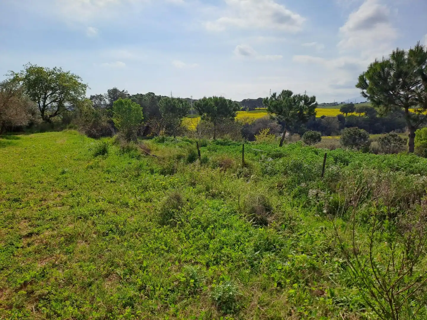 Land for sale in Terrassa