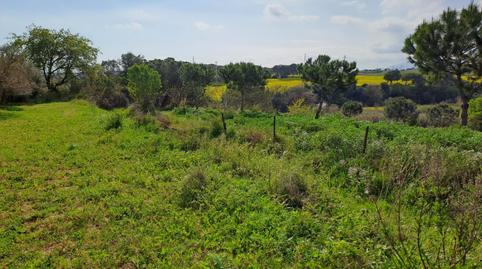 Photo 2 of Land for sale in Polígon Industrial Santa Margarida, Barcelona