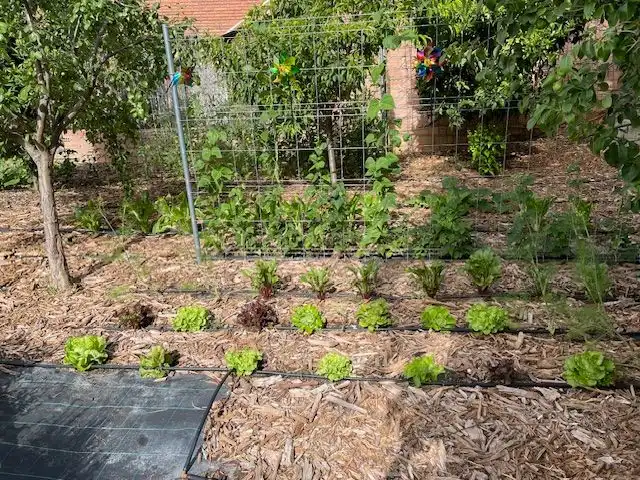 Garten von Wohnung zur Miete in La Garriga mit Klimaanlage, Heizung und Terrasse