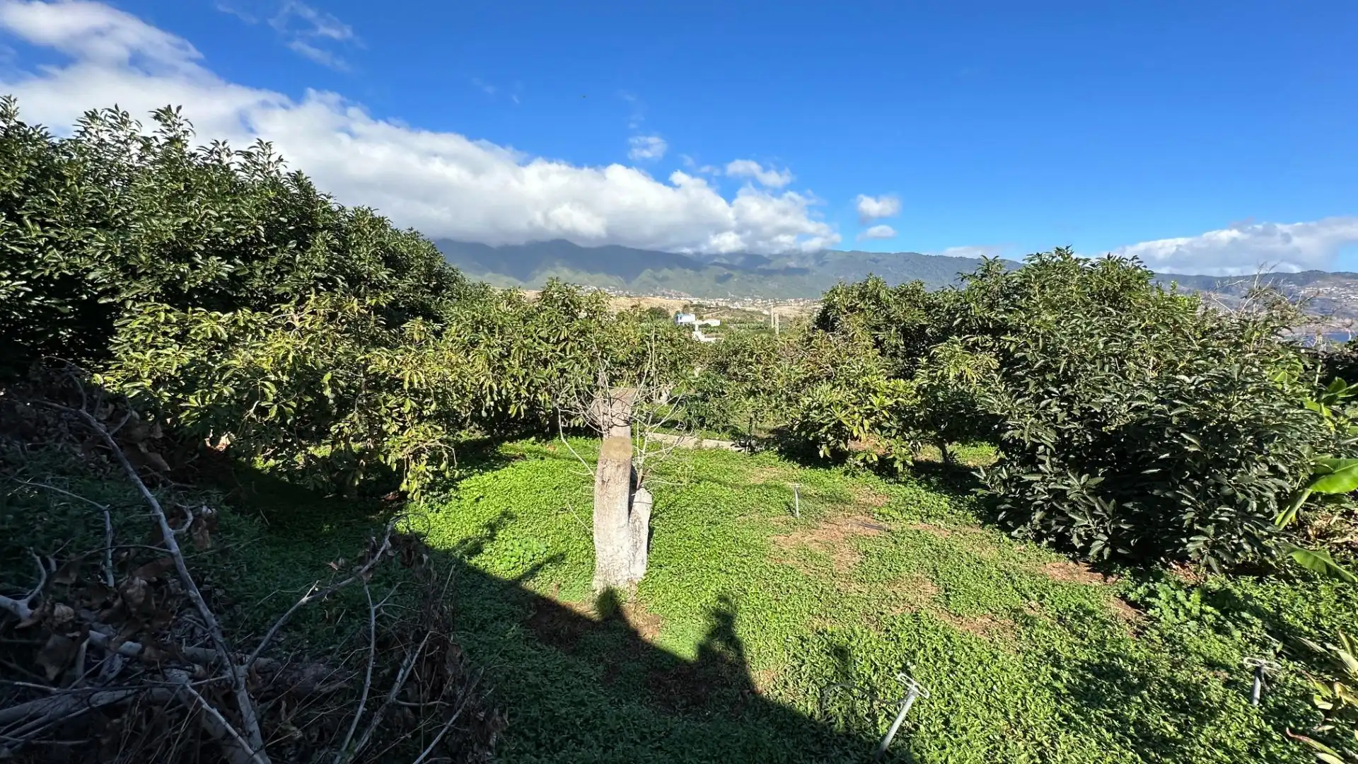 Residencial en venta en Breña Baja