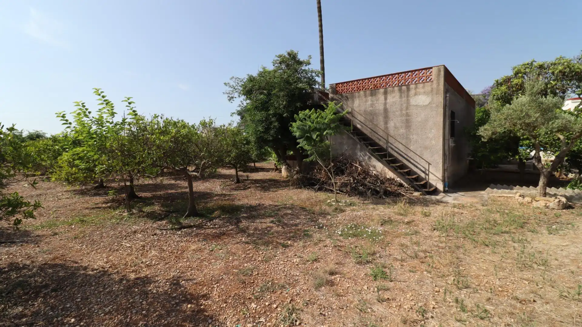 Terreno rústico en venta en Alcanar, imagen 18