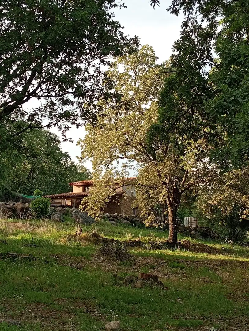 Vista exterior de Terreno en venta en Villanueva de la Vera