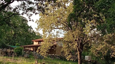 Photo 3 of Land for sale in Ex-203, Villanueva de la Vera, Cáceres