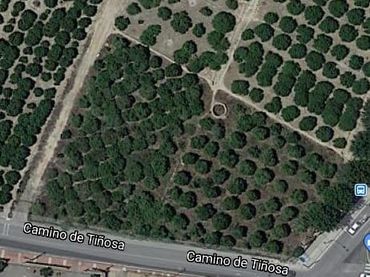 Terreno residenziale in vendita a Pedanías Este