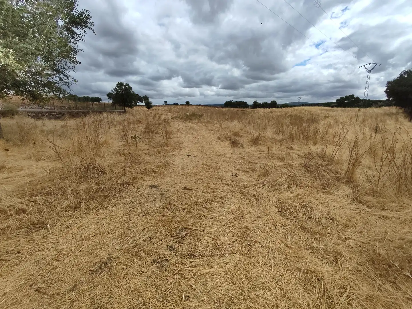 Terreno rustico in vendita a Burguillos del Cerro, imagen 3