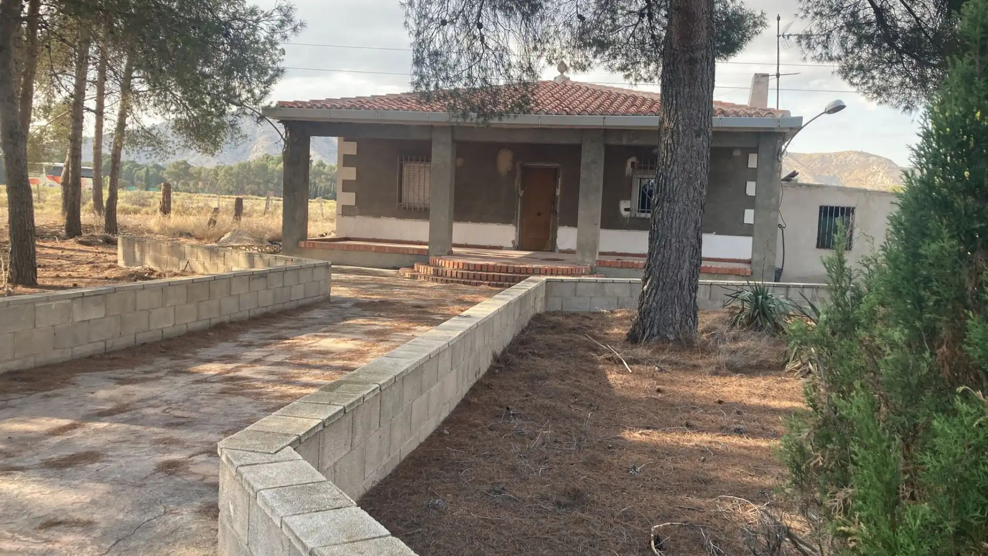 Vista exterior de Casa o chalet en venta en Villena con Jardín privado