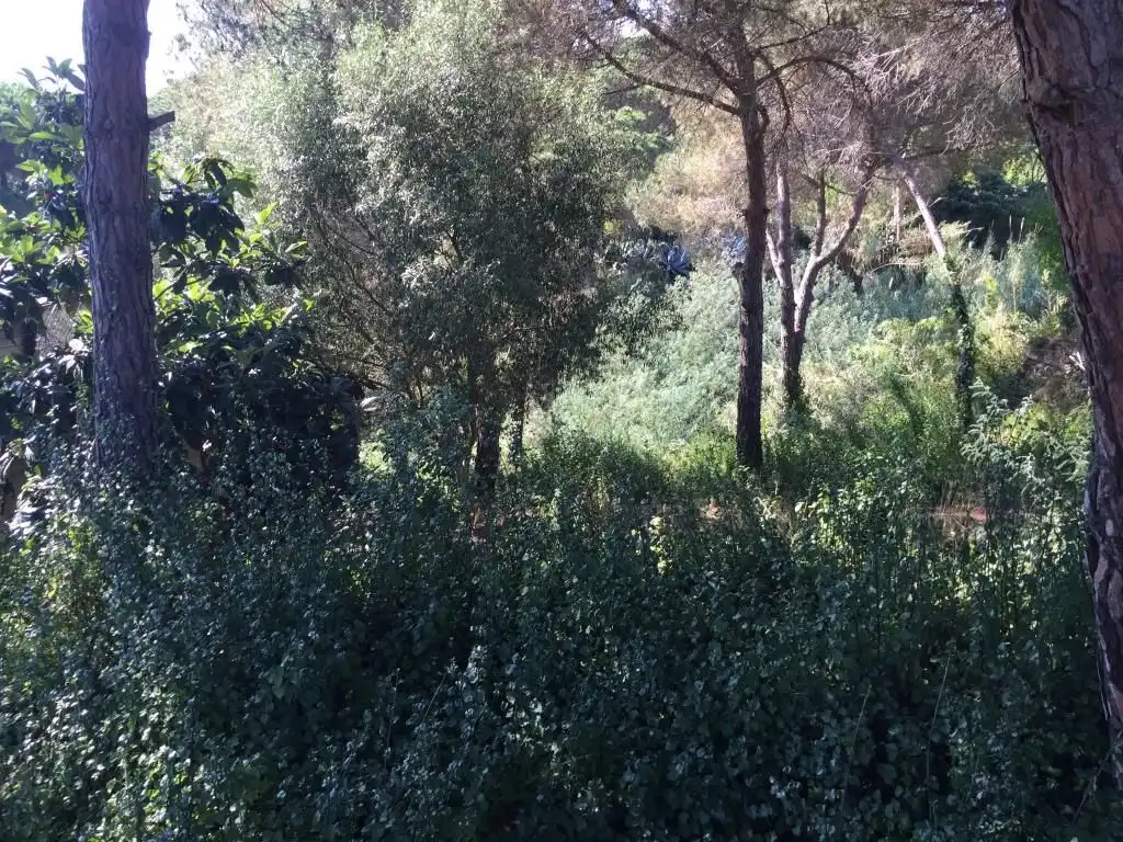 Wohnbaugrundstück zum Verkauf in Calle Benidorm, imagen 2