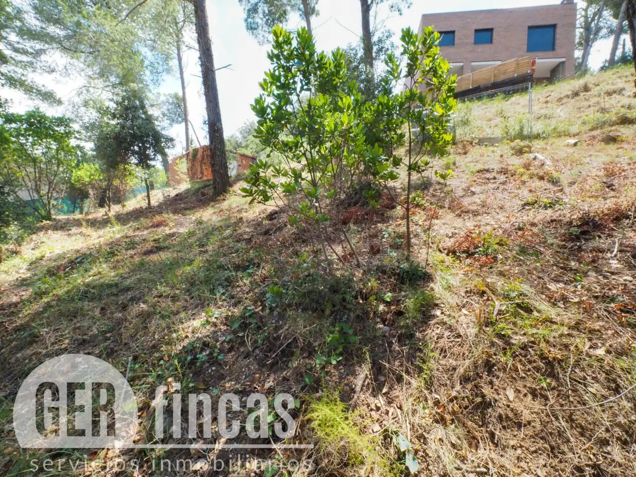 Rural land for sale in Calle Josefa Comellas, imagen 3