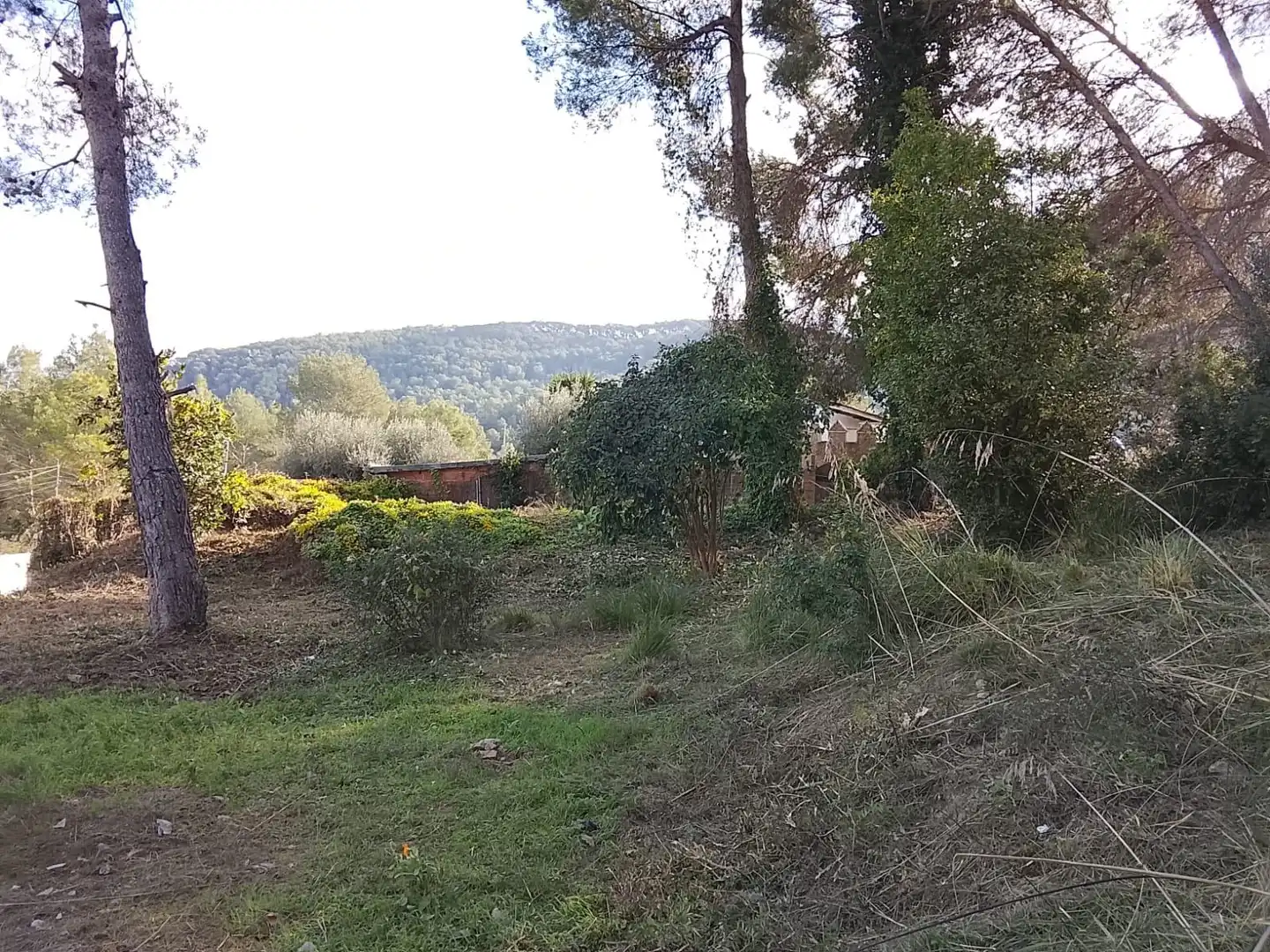 Terrain rustique à vendre à Puig Moltó - Can Macià, imagen 5