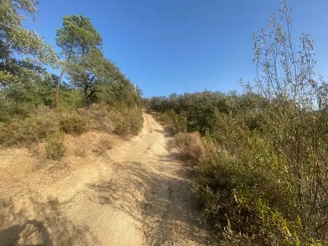 Terrenos y solares en venta en La Nava, imagen 14
