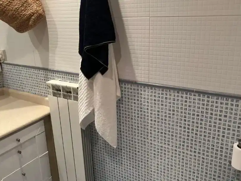 Badezimmer von Wohnung zur Miete in Benasque mit Abstellraum, Möbliert und Balkon