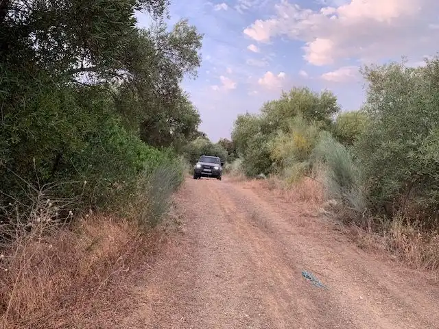 Land for sale in Alcolea del Río