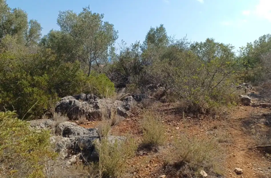 Terreny rústic en venda a El Ràfol d'Almúnia, imagen 3