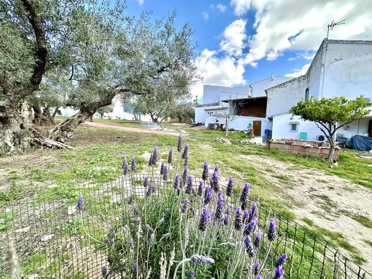 Casa amb jardí en venda a Villanueva de Algaidas, imagen 55