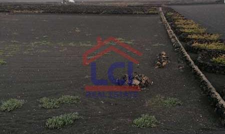 Foto 3 de Terreno en venta en La Geria, Las Palmas