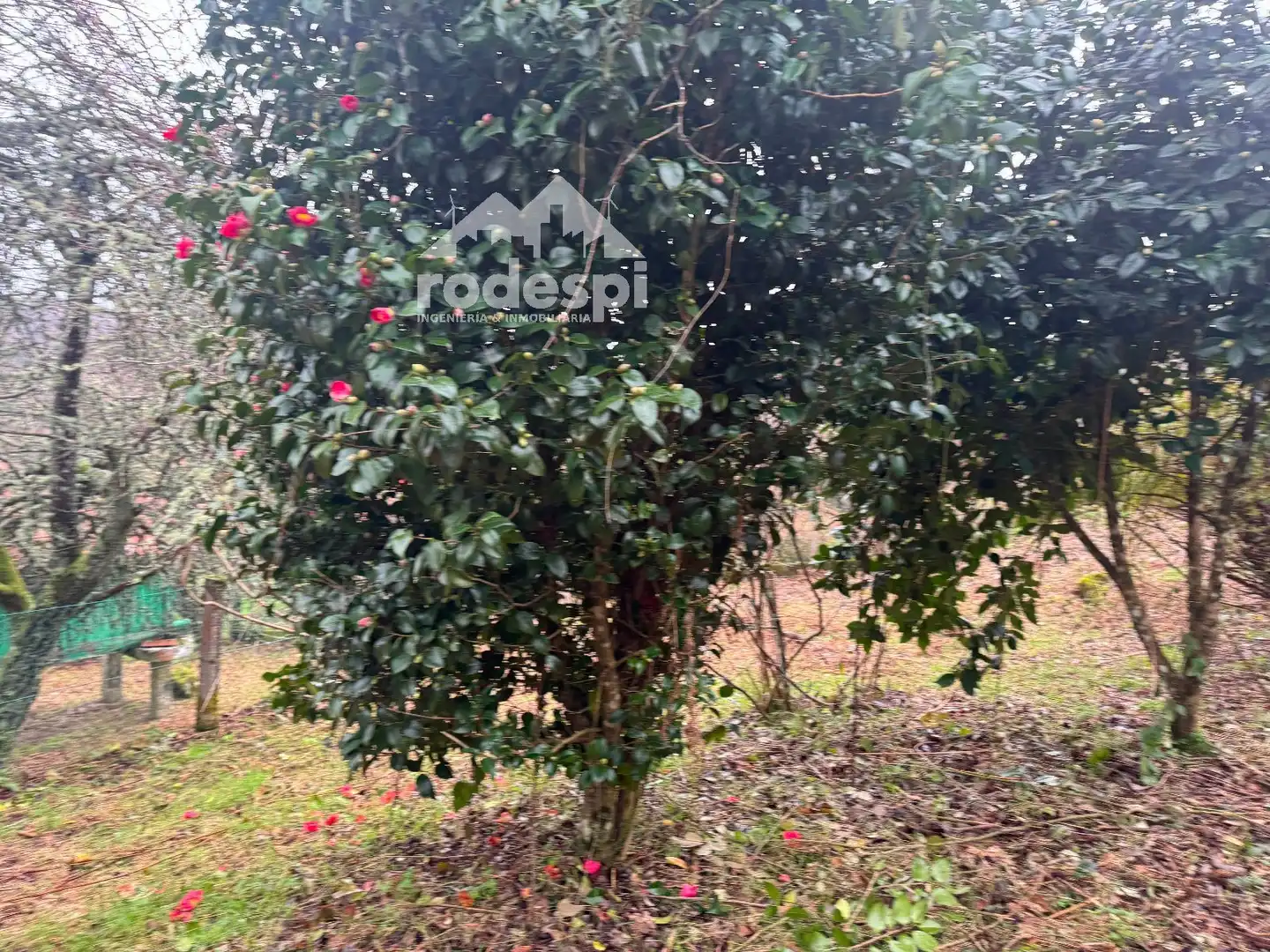 Detached homes for sale in A Cañiza    with Furnished