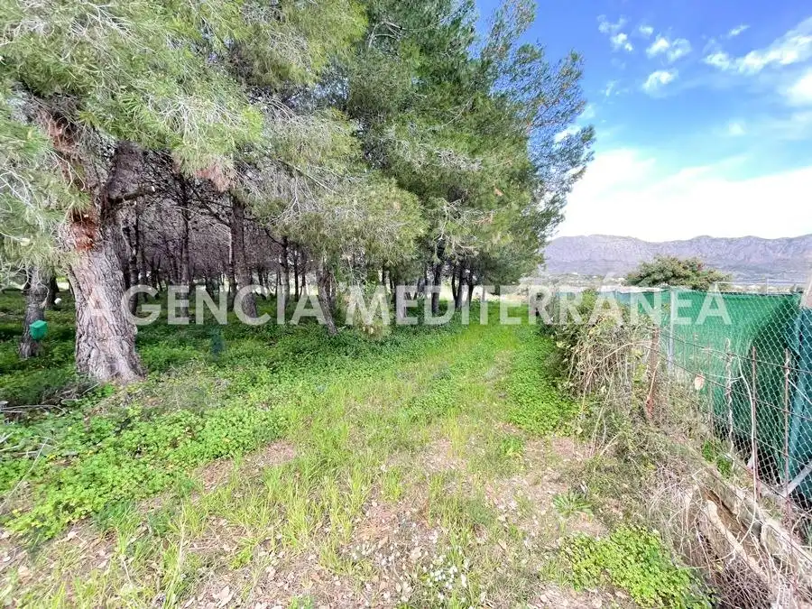 Terreny residencial en venda a Beniarbeig, imagen 5