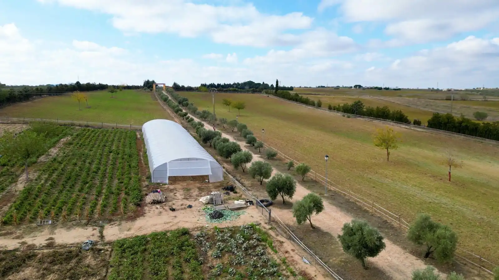 Grundstücke zum Verkauf in Olivares, Batres