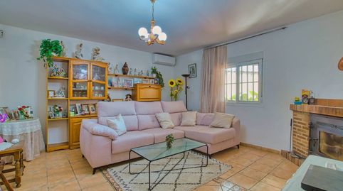 Foto 5 de Finca rústica en venta en Calle Paraje de Pilarejo, Alcaucín, Málaga