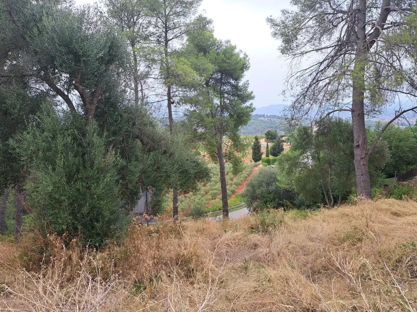 Residencial en venta en Castellví de Rosanes