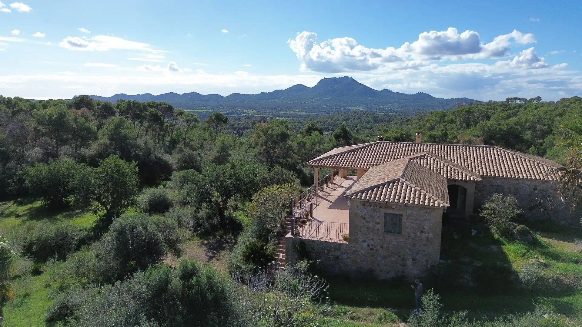 Garden of Houses for sale in Manacor