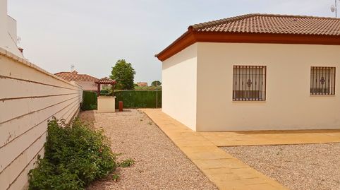 Photo 3 of Houses for sale in Avenida de San Isidro, La Carlota, Córdoba