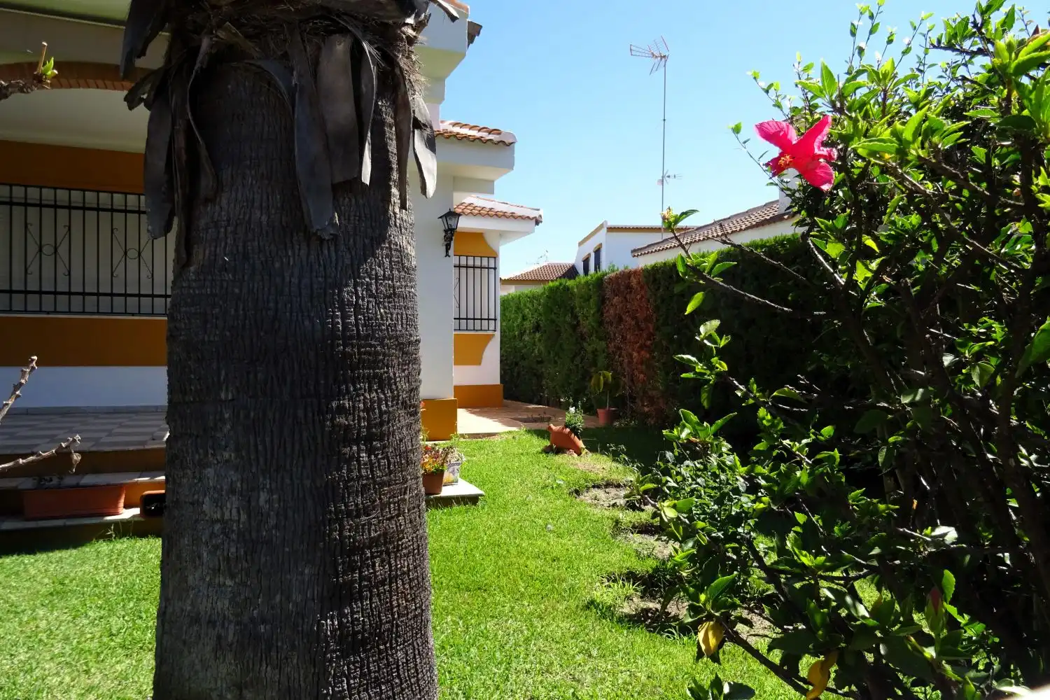 Chalet en venta en Matalascañas, imagen 3