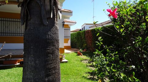 Foto 3 de Casa o chalet en venta en Centro - Torre de la Higuera, Almonte