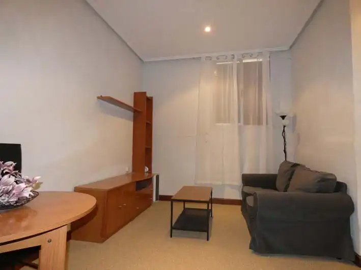 Living room of Flat for sale in Bilbao   with Furnished