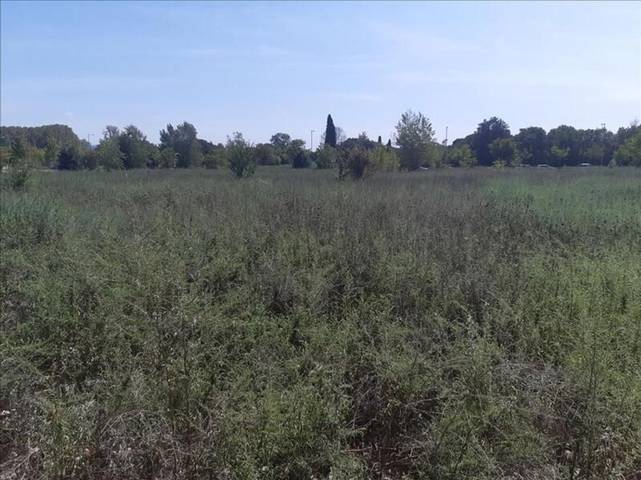 Terreno residencial en Venta en Sant Daniel