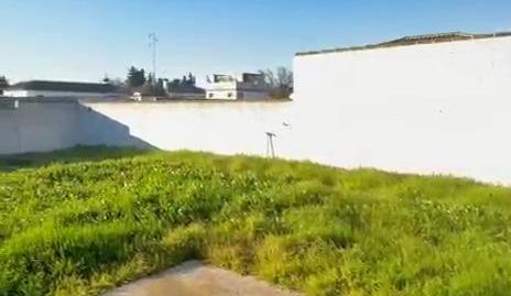 Foto 4 de Casa o chalet de alquiler