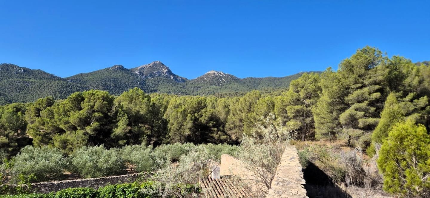Country house for sale in cv 815, Tibi