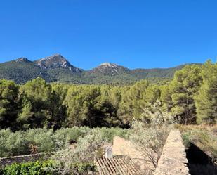 Finca rústica en venda en Tibi amb Terrassa i Piscina