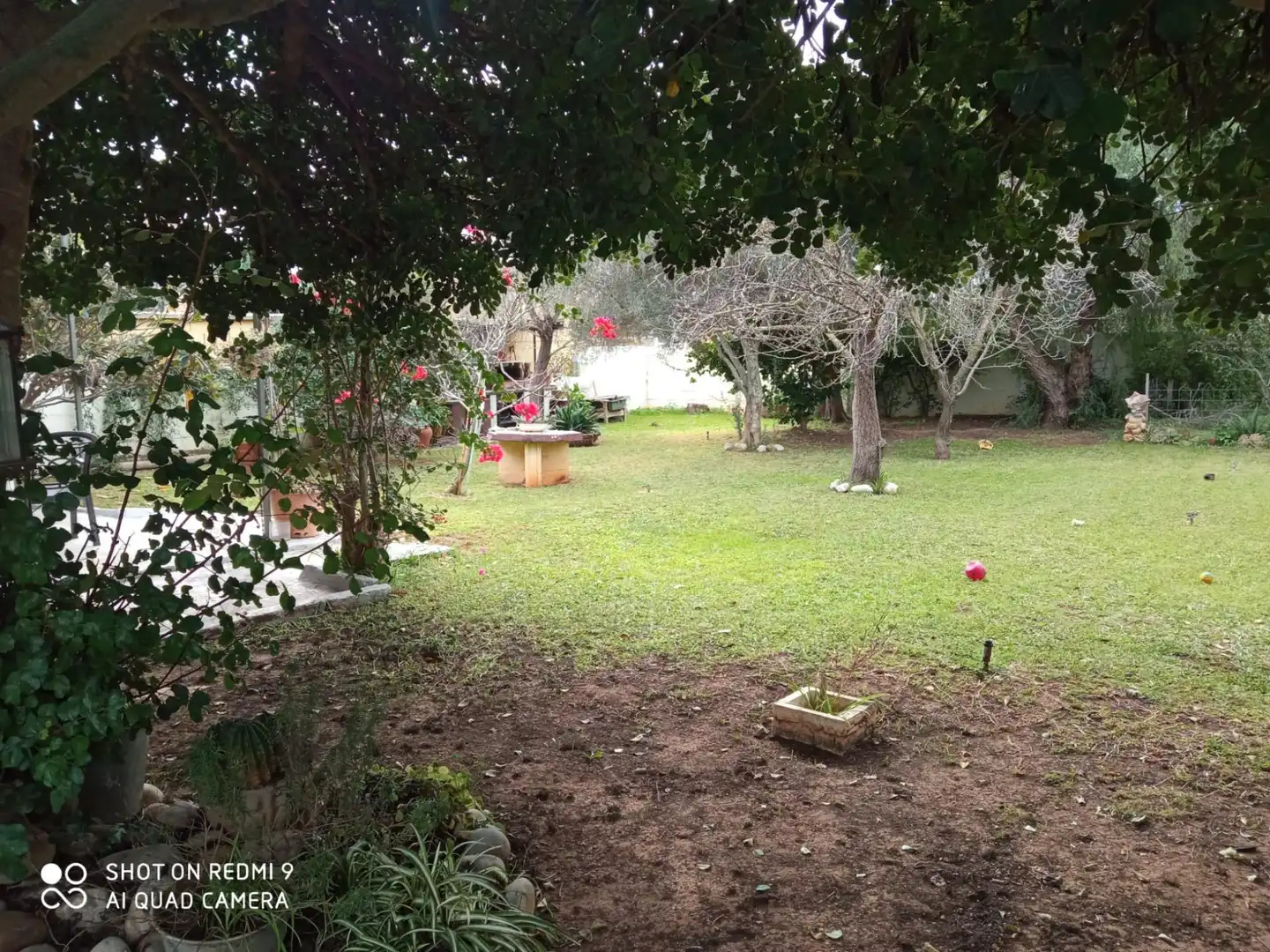 Jardí de Casa o xalet en venda en Chiclana de la Frontera amb Jardí privat, Terrassa i Traster