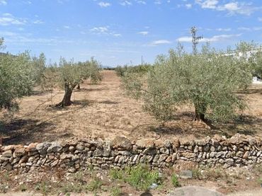 Terreno rustico in vendita a Boverals - Saldonar