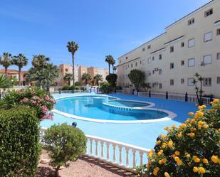 Swimming pool of Planta baja for sale in Torrevieja  with Terrace
