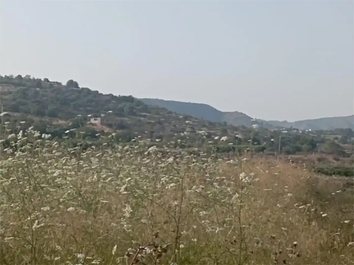 Terreno en venta en Llutxent, Valencia