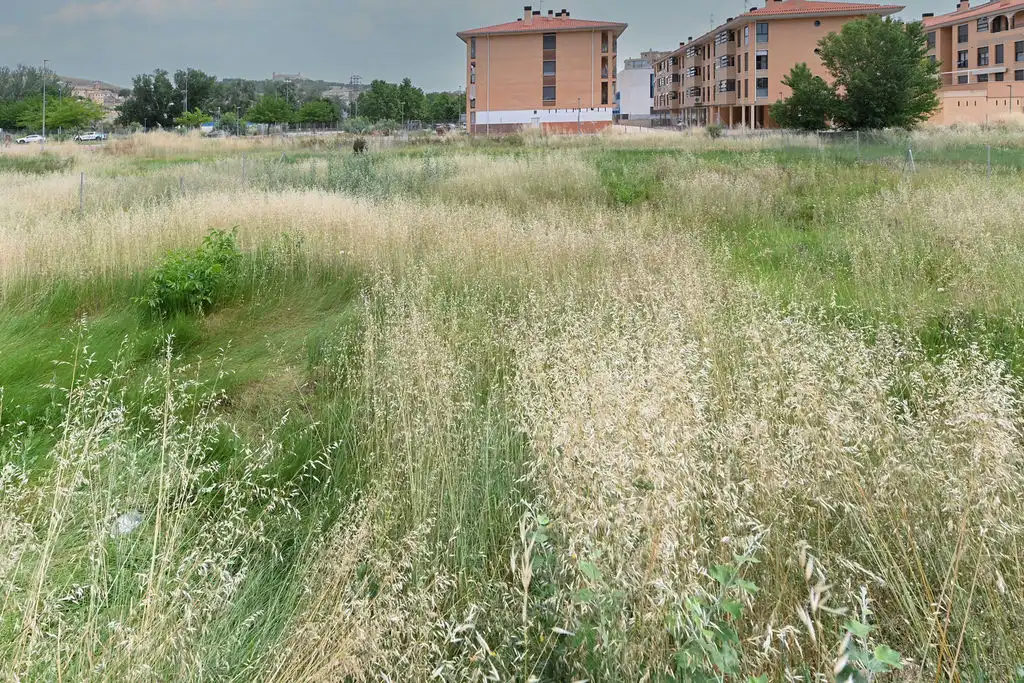 Büro zum Verkauf in Calatayud