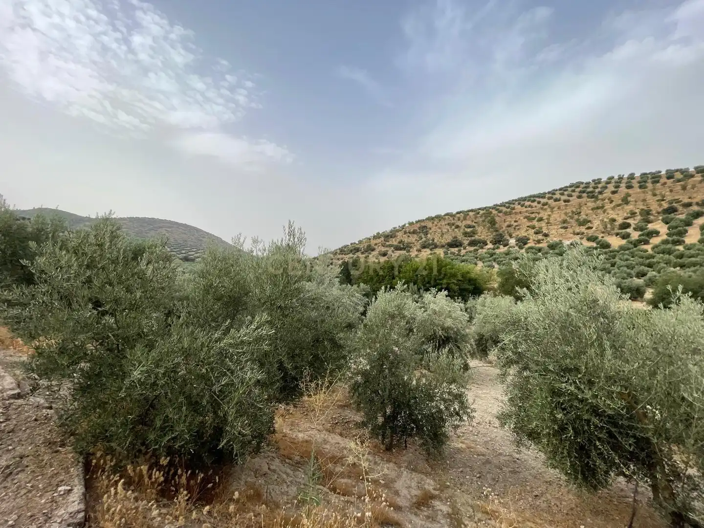 Rustikales Grundstück zum Verkauf in 18260 Íllora, Spain