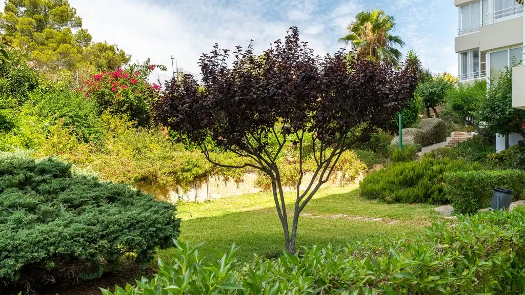 Jardí de Apartament en venda en Calvià amb Aire condicionat, Calefacció i Moblat