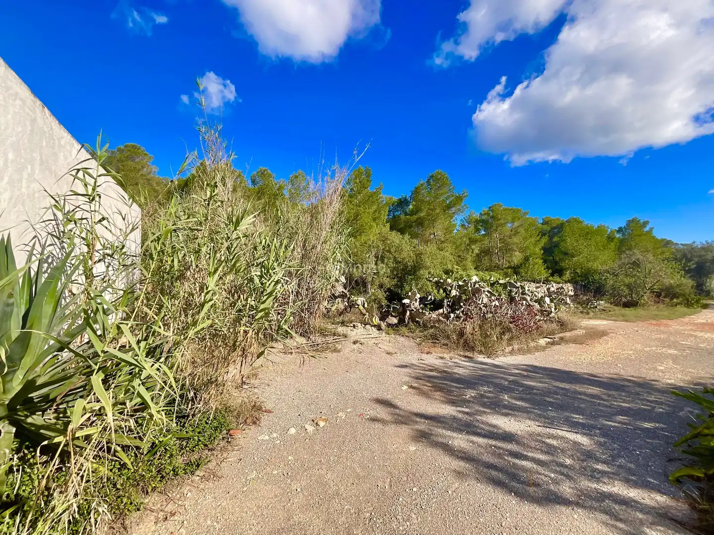 Xalet en venda a Sant Antoni de Portmany, imagen 39