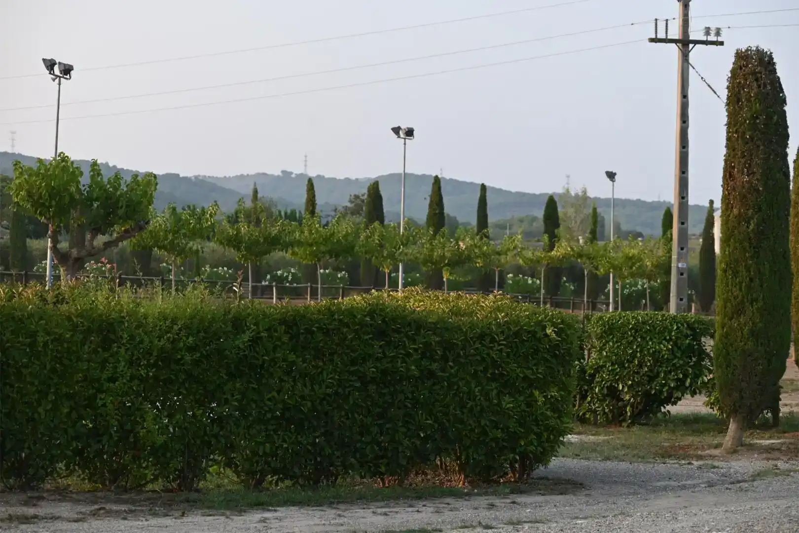 Jardí de Finca rústica en venda en Piera amb Aire condicionat i Piscina
